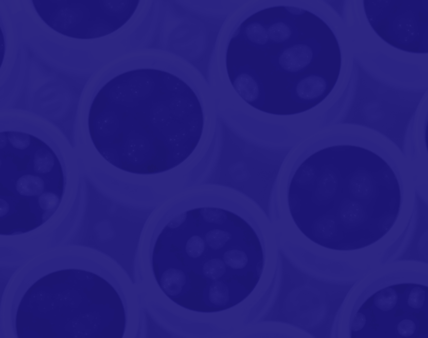 Microbiology Background