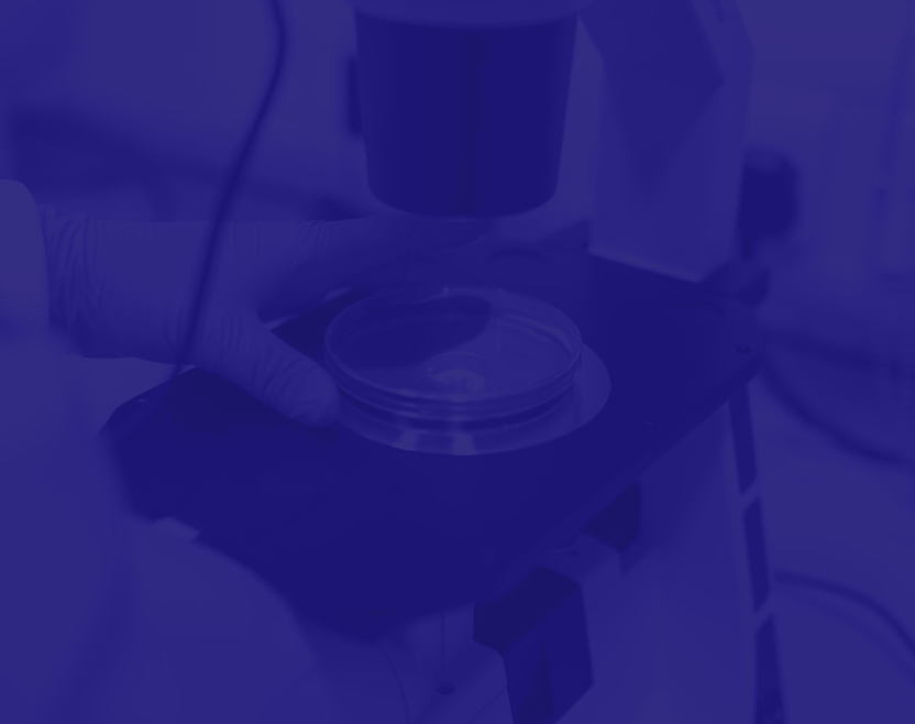 Microbiology Background